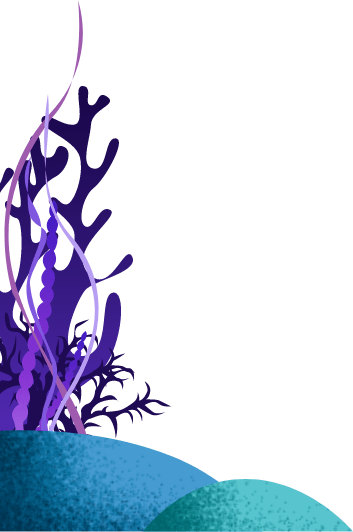 coral