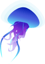 meduza