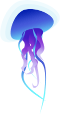 meduza